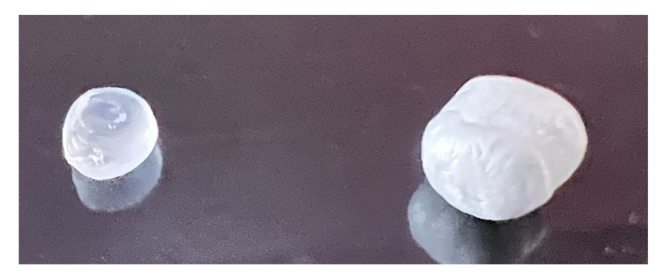 Pellet Pp Y Bead Epp